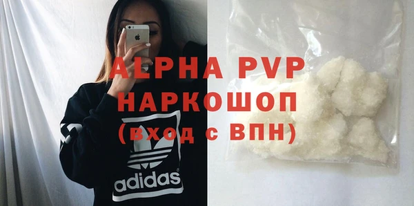 хмурый Алексин