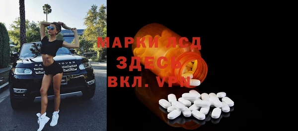 хмурый Алексин