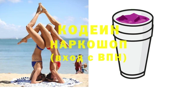 хмурый Алексин