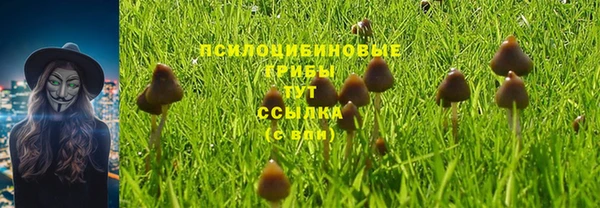 ALPHA PVP Алзамай
