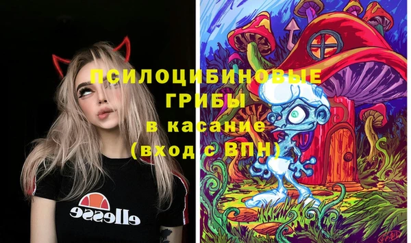 МДПВ Абинск