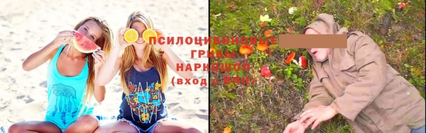 хмурый Алексин