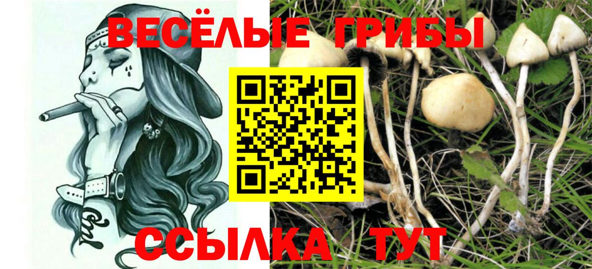 Галлюциногенные грибы мицелий Кызыл