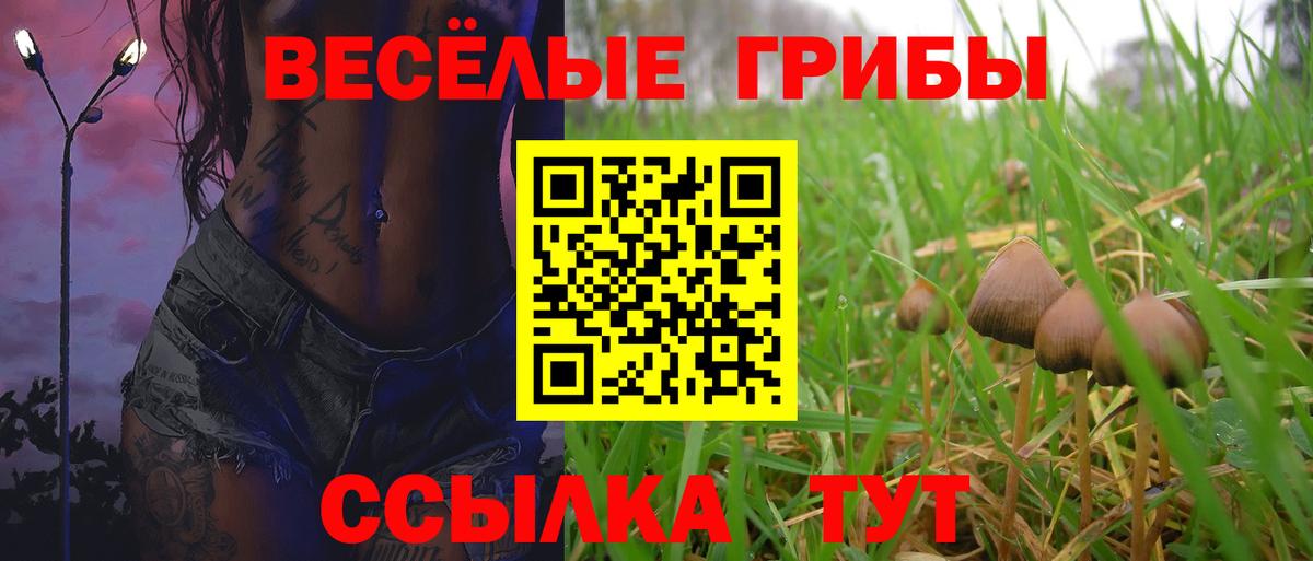Псилоцибиновые грибы мицелий  Вход с VPN  Кызыл 